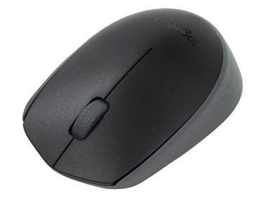 Мышь LOGITECH Wireless Mouse M171, купить в rim.org.ru, гарантия на товар, доставка по ДНР