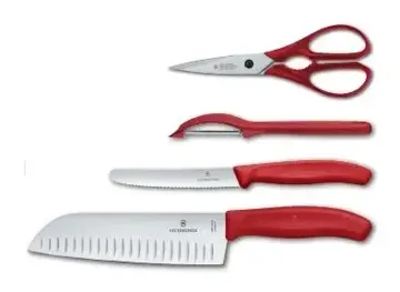 Набор ножей VICTORINOX SWISS CLASSIC KITCHEN SET 6.7131.4G, купить в rim.org.ru, гарантия на товар, доставка по ДНР
